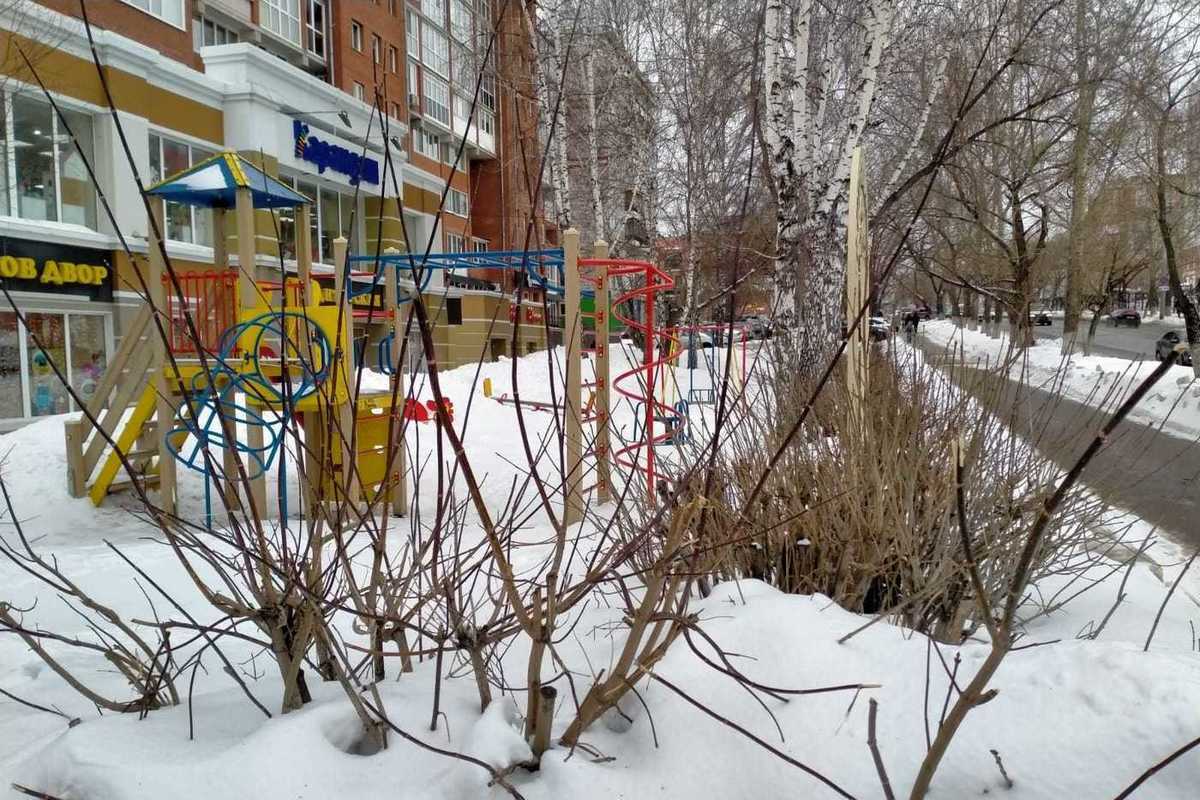 В Томске 19 марта похолодает до 9 градусов