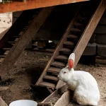 Проведение деловых мероприятий