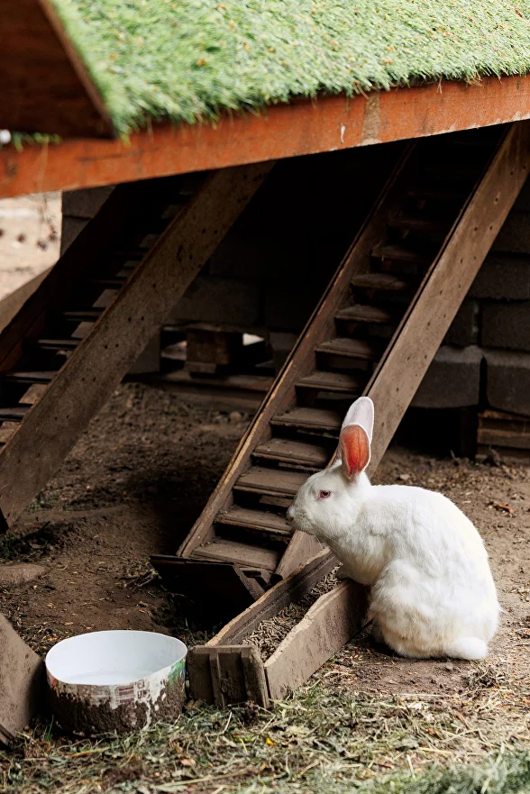 Проведение деловых мероприятий
