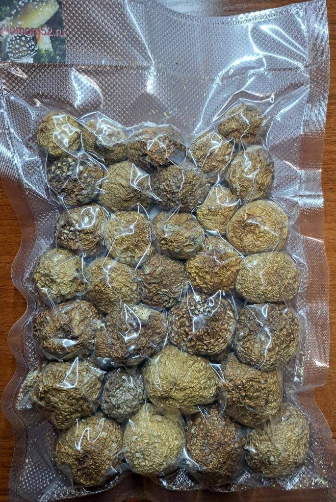 muhomory52.ru как эталон надежности на рынке